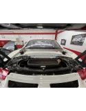 991.1 - 991.2 GT3 America GT Cofano Carbonio Porsche 911 Cup | Albert Motorsport