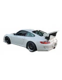 997.1 GT3 - Cup Heckstange Stoßstange hinten Sichtcarbon Porsche 911 – Albert Motorsport