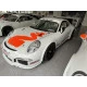 Porsche 991.1 GT3 Cup 4.0 litri 520 CV costruita nel 2014 in vendita | Albert Motorsport