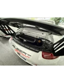 Porsche 991.1 GT3 Cup 4.0 litres 520 CV construite en 2014 à vendre | Albert Motorsport
